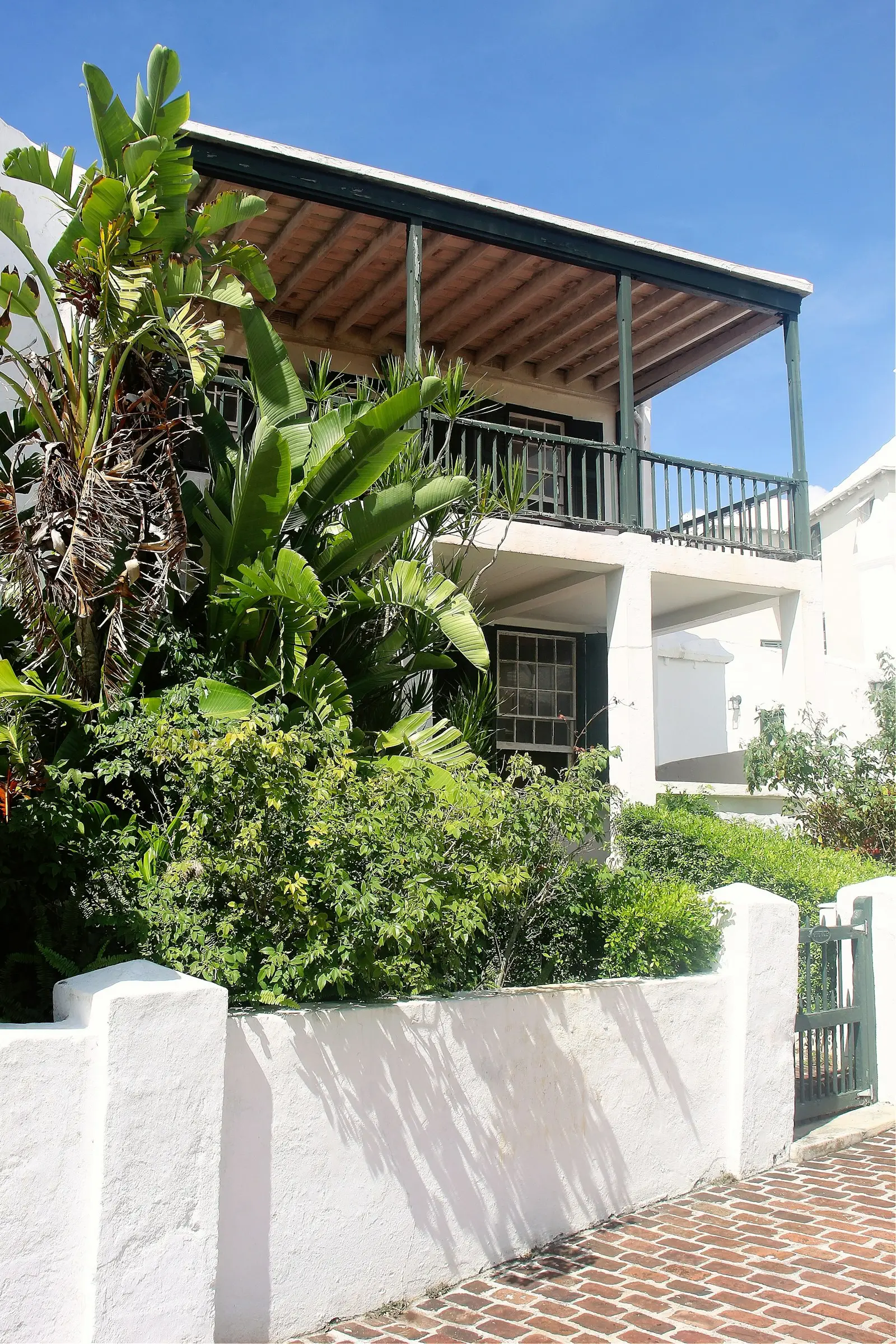 Layered subtropical planting